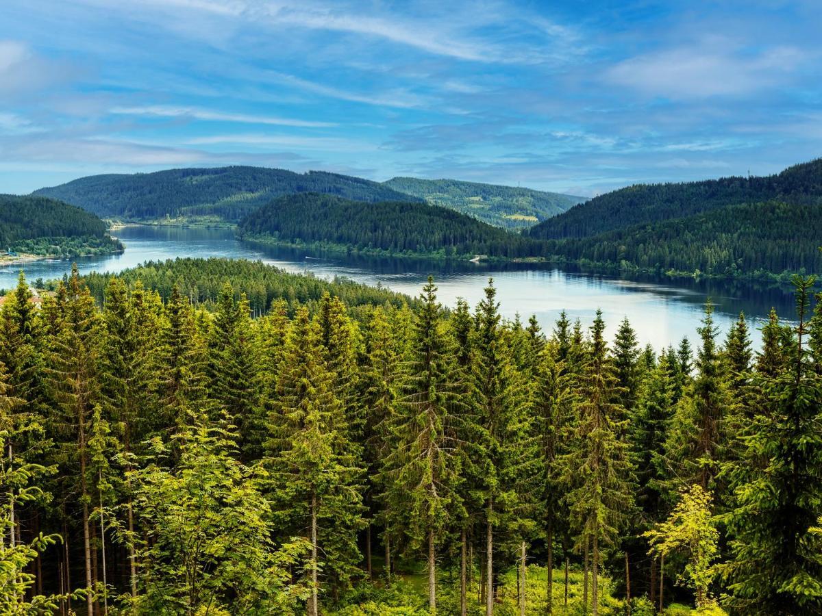 Black Forest Luxury Apartment Waldglueck Mit Sauna Königsfeld im Schwarzwald Екстериор снимка