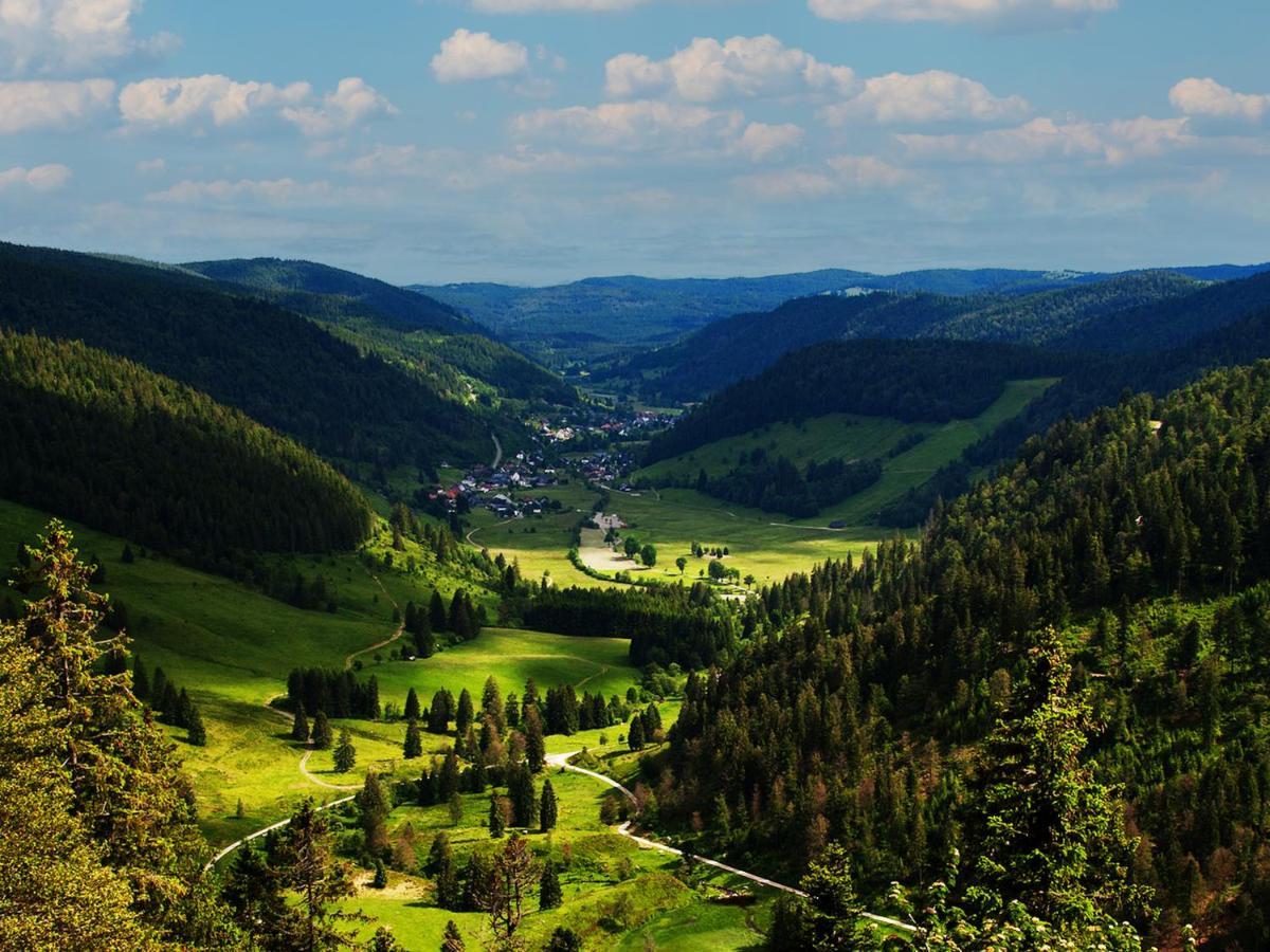 Black Forest Luxury Apartment Waldglueck Mit Sauna Königsfeld im Schwarzwald Екстериор снимка