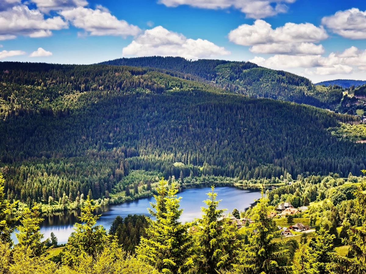 Black Forest Luxury Apartment Waldglueck Mit Sauna Königsfeld im Schwarzwald Екстериор снимка